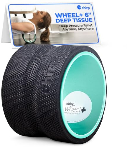 Chirp Plexus 15,2 cm tiefes Geweberad + für Rückenschmerzen, dehnt und stärkt die Rumpfmuskulatur, lindert die Belastung der Muskeln und Bänder, verhindert Bandscheibenvorfall, Arthritis und