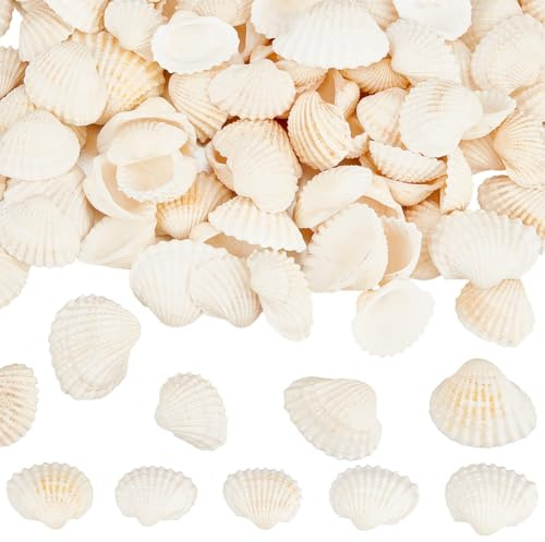 SOFPLATE 300 pieza de Pequeñas Conchas de Almeja, Decoraciones de Conchas Marinas Naturales de Verano, Animales con Temática de Playa, Mar Y Océano, Adorno de Cuentas Sin Agujeros Sin Perforar para Bo