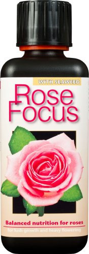 Growth Technology Rose Focus 300ml