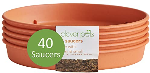 Clever Pots Blumentopf-Untersetzer - 40x Runde Unterteller benutzen mit Mini und Kleine Einfache Freigabe Kunststoff Blumentöpfe, Indoor-& Outdoor-Kunststoff-Untersetzer, Terrakotta