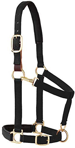 Weaver Leather Padded Breakaway Adjustable Chin & Throat Snap Halter, 1 Average Horse or Yearling Draft