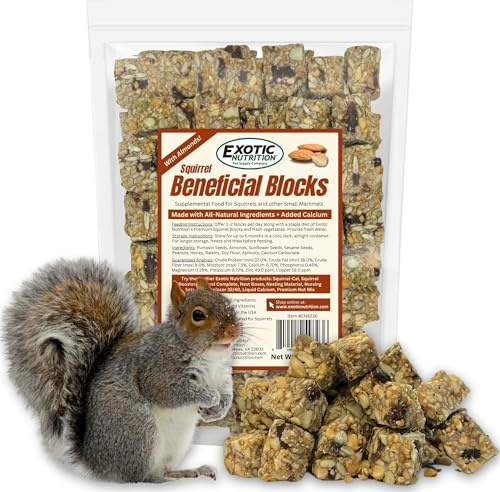 Exotic Nutrition Squirrel Beneficial Blocks - Healthy & Unique Supplemental Food with Nuts & Seeds, 20 oz