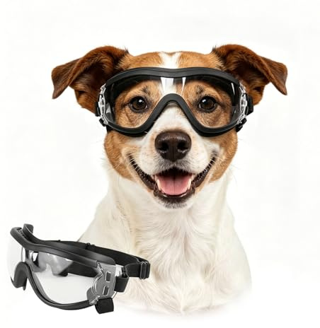 Enjoying Lunettes de protection oculaire anti-UV pour chiens moyens et petits, lunettes de soleil anti-vent et anti-poussière, pour vélo et trajets en voiture, sangles ajustables, transparent