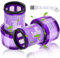 Swetfela 2 Stück V12 Filter für Dyson Filter, V12 Filter für Dyson 12 Slim Vacuums, Dyson V12 Detect Slim, Ersatzfilter Dyson v12 Absolute, Ersetzen Sie#971517-01