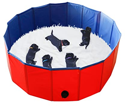 Artilife Foldable Dog Bath Pool - Portable Whelping Box for Puppies (39 Dia.x12 H(100x30cm))