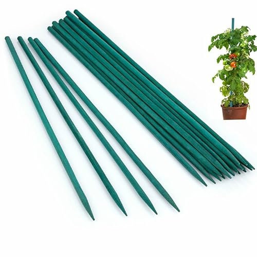 75cm Garden Stakes, 30 pack Bamboo Sticks Plant Support Sticks Green Garden Sticks for Garden Flowers, Vegetables, Weather Resistant Canes Wooden Canes for Gardening Tripods Making