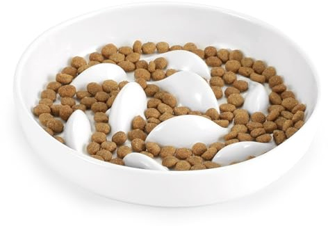 IDOGCHEW Anti Schling Napf Keramik, hohe Ränder, Slow Feeder, Weiß