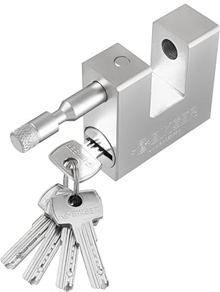 BIKSER - Candado de Seguridad Exterior de Acero Inoxidable con Grillete Grueso 12 mm Antirrobo para Puertas, Garajes y Trasteros (1 kg, 4 Llaves)