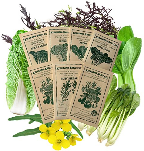 Asian Chef's Specialty Seed Assortment - Baby Leaf Garden Seed Collection - Baby Leaf Greens - Mustard, Arugula, Komatsuna, More