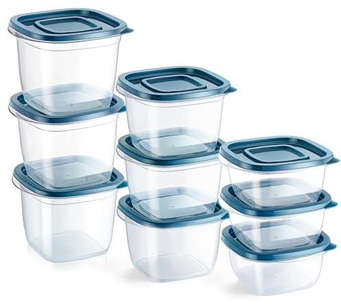 EFISH Juego de 9 Cajas Cubo Rectangulares de Plástico con Tapas,Cajas de almacenamiento de alimentos,conjuntos de contenedores de alimentos,contenedores.Para la escuela, (9PCS - 300/480/650ml)