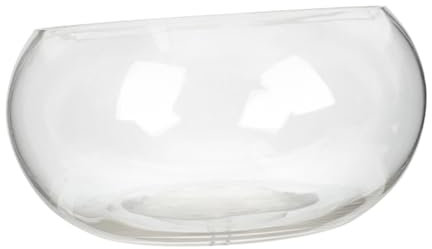 Yardwe Rundes Desktop-Aquarium Hydroponische Pflanzschale Fischglas Für Terrarium Goldfischglas Mini-Aquarium Automatisch Selbstbewässernde Stacheln Rührschüssel Bausatz Gewöhnliches Glas