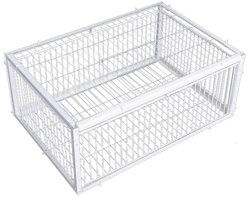 Trampa para Palomas de 16.0 x 12.0 x 10.0 in, Trampa para pájaros con entradas de Acceso unidireccional y tragaluz, Jaula de Metal para Palomas para Granjas, graneros, Jardines, cría de