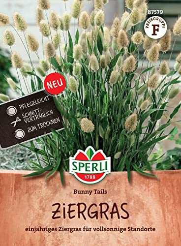 Sperli 87579, Ziergras Bunny Tails, einjähriges Ziergras für vollsonnige Standorte, Pflegeleicht, schnittverträglich, Ideal für Trockensträuße