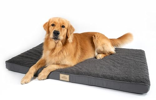Doghouse Premium Hundebett Mittelgrosse Hunde 100x65x9cm Hundematte Waschbar, Hundekissen flauschig, Hundematratze für Mittelgrosse Hunde in Anthrazit ergonomisch