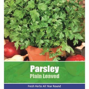 De Ree Parsley Plain Leaved Herbs Herb Vegetable Plant 170 Seeds