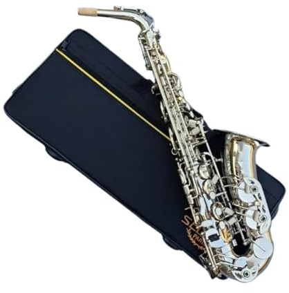 Professionell Saxofon Professionell Altsaxofon Eb stämapparat I Nickel Snidad Kropp Med Fodral Och Tillbehör