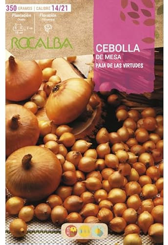 Bulbo de cebolla para plantar variedad paja virtudes 350gr - Rocalba