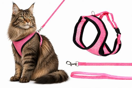 pettorina gatto - pettorina Harms rosa con guinzaglio - nylon traspirante regolabile e confortevole - 37cm / 43-55cm / 120cm
