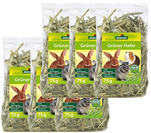 Dehner Nagersnack, Nagerfutter 100 % natürlich / rohfaserreich, für Kaninchen / Nager, Grüner Hafer, 6 x 75 g (450 g)