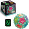 IQBrainPuzzles® Regenbogenball Spinner, Massageball, Spannendes Knobelspiel für Mädchen und Jungen ab 3 Jahren, Fidget Toy, Geschicklichkeitsspiel für Kinder und Erwachsene (Grün)