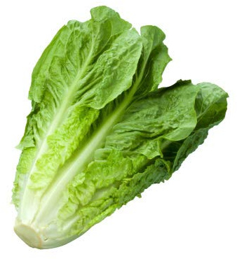 Lettuce, Romaine, 1 Each