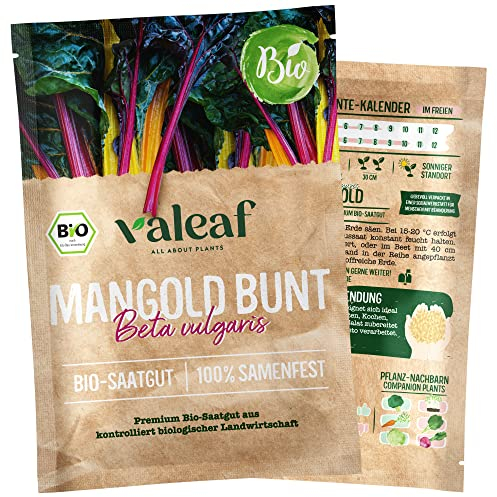valeaf BIO Bunte Gemüse Samen I Ausgefallene Gemüsesamen zur Gemüse Anzucht im Garten, Balkon und Hochbeet I samenfestes Gemüse Saatgut I Pflanzen Samen zum Gemüse Pflanzen (Bunter Mangold (BIO))