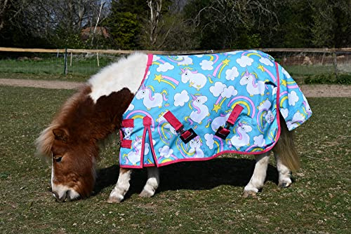 Rhinegold Einhorn Torrent Outdoor Teppich – 4/3
