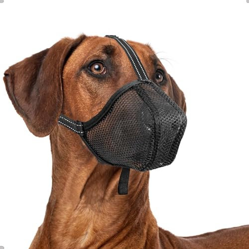 ILEPARK Maulkorb für Hunde, Weicher Netz Maulkorb Einstellbare Passform für Welpen Kleine Mittlere Große Hunde, Maulkorb Anti-Biss Anti-Kauen, Atmungsaktiv(M, Schwarz)