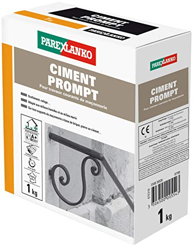 Parexlanko - Ciment Prompt - Gris - Confection de mortier à prise rapide - Tous supports de maçonnerie - Adapté en milieux humide et marin - 1kg