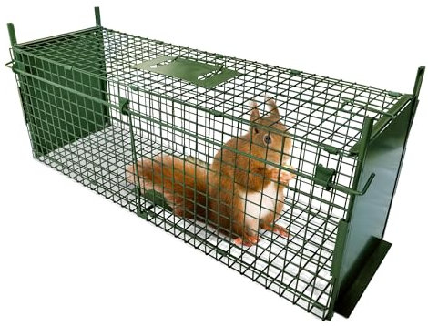 ARIFARO Humane Live Trap 100 x 31 x 30 cm, Double Door, Foldable Metal Cage