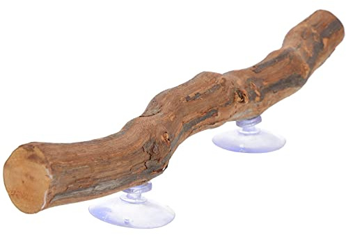 PATKAW Home Decor Reptile Decor Natural Forest Branch Terrarium Climb Corner Tree Branch Background Decoration Plant Decoration with Suction Cup for Snake Lizard and Leopard Gecko Reptile Tank