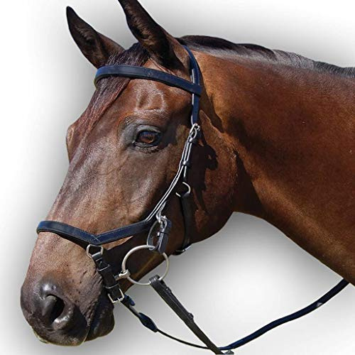 Saddles World Flat Padded Leather Bridle (Black, Pony)