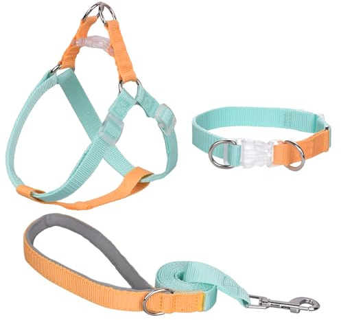 AIITLE Upgraded Easy Walk Dog Halter Harness - No Pull Dog Harness Collar Leash Set with Padded Handle - No Choke Escape Proof Cute Pet Harness for Small Dogs Green-Yellow S