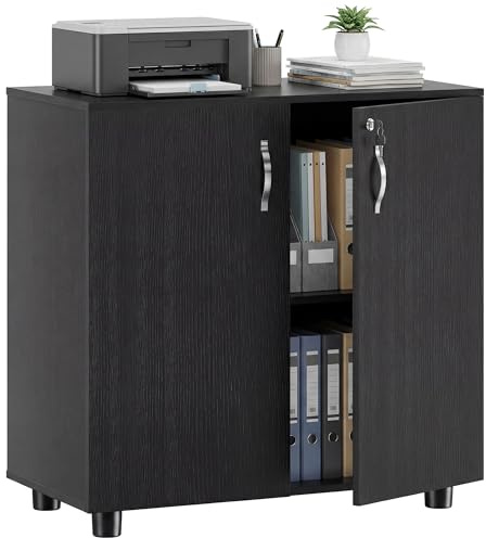 Vinsetto Armadietto per Documenti con Serratura, Armadio da Ufficio con 2 Ante e 2 Ripiani, Mobiletto Multiuso Portaoggetti con Maniglia in Lega di Alluminio, per Casa Ufficio, 80x40x80 cm, Nero