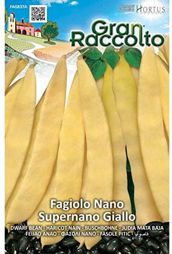 Hortus Gran Raccolto - semi di Fagiolo nano supernano giallo