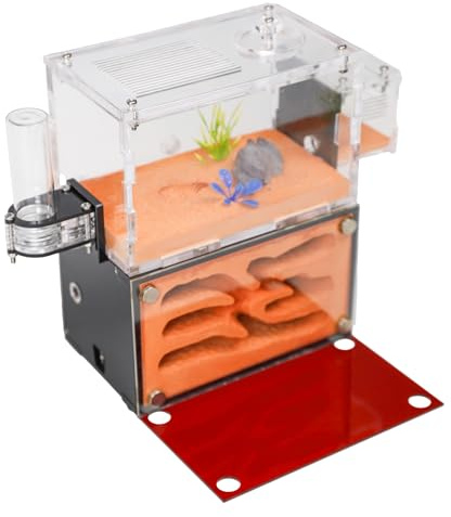 Rimsunta Ant Farm House for Adults - Two Floor Formicarium for Live Ants and Queen - Educational Terrarium for Study of Ant Behavior