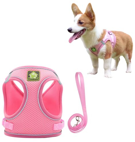 Puppy Harness and Lead Set, Reflective Breathable Dog Harness with Puppy Lead, Lightweight Soft Mesh Vest Dog Harness for Small Dogs and Puppies, Pink XS