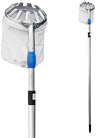 Recogefrutas Teleskop, ausziehbar von 130 – 240 cm