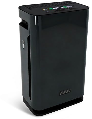 ISSELEC 2 in 1 purificatore d'aria e umidificatore d'aria H13 filtro dell'aria ad alta efficienza ionizzatore dimensioni della stanza fino a 80㎡, filtro 99,97% peli di animali domestici/polline/fumo