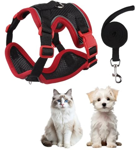 KIRZAX Harnais Souple pour Chat avec Laisse Amovible,Laisse pour Chat avec Harnais réglable, Maille Respirante,pour Chats, Chatons et Chiots, Taille S
