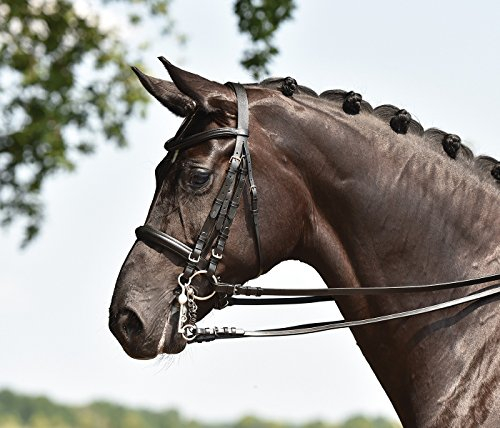 BUSSE Kandare FREETIME, schwarz, Stirnband: Strass-schwarz, Vollblut