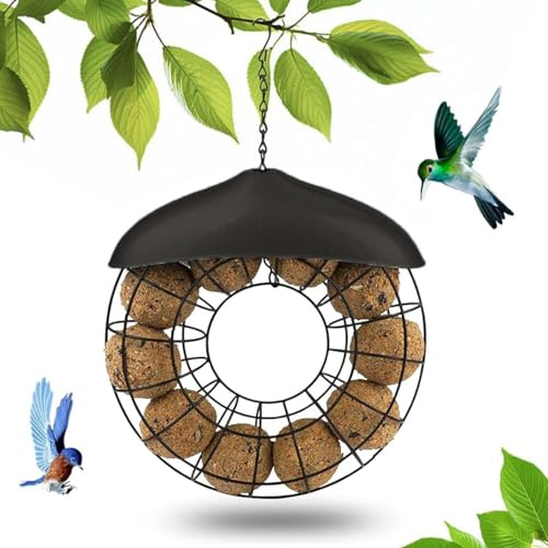 Porta nueces para carboneros, dispensador de comida para pájaros, dispensador de comida para pájaros, porta nueces para carboneros para colgar, estación de alimentación para pájaros, comedero para