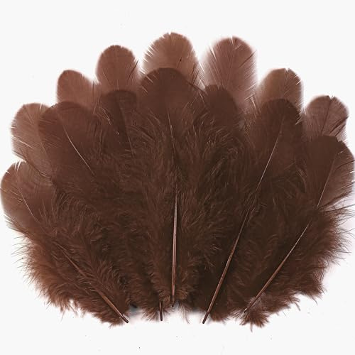Soarer 300pcs Brown Feathers for Crafts - 3-5inch Craft Feathers Bulk for Wedding Home Party, Dream Catcher Supplies and DIY Crafts Scrapbooking Embellishments(Brown)