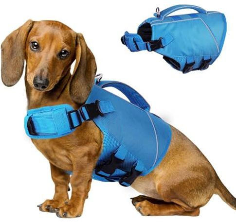 ASENKU Giubbotto di salvataggio per cani, gilet di sicurezza per animali domestici, per nuoto e canottaggio, giubbotto di salvataggio con squalo, costume da bagno per cani di taglia piccola, media e