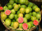 seedsown 5 PC/Bolsa de Guayaba Vegetal orgánico Fruta Guayaba árbol Bonsai Tiesto Verduras y Frutas para jardín