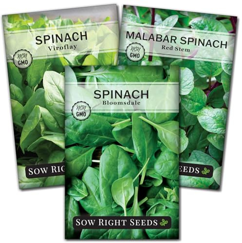 Sow Right Seeds - Spinach Seed Collection for Planting - Viroflay, Malabar & Bloomsdale Spinach - Cold Hardy Vegetable Seeds for Growing - Mix of Hardy, Flavorful Greens - Non-GMO Heirloom Packets