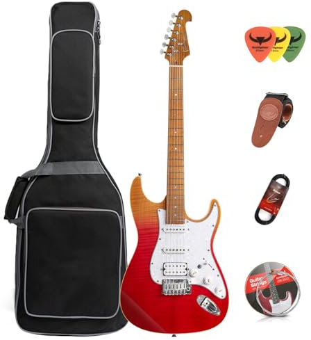 E-Gitarre Anfänger Anfänger Erwachsene Praxis E-Gitarre Fortgeschrittene Performance Set Professionelle Grade-D210 (Rot)