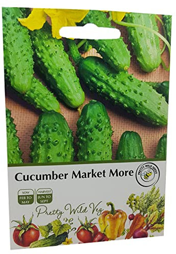 Cucumber Marketmore Seeds in Pictorial Packet from a UK Seller Outstanding Ridge Slicing Type