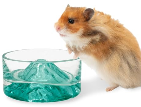 BNOSDM Hamster Food and Water Bowl Mountain Fuji Style Glass Drinking Dwarf Hamster Feeder Anti-Turning Dish for Syrian Hamsters Gerbils Mice Rats or Other Similar-Sized Pets (Green)