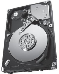 Seagate Bulk ST9146853SS SAVVIO 15 K.3 6 GBS 146 GB (ST9146853SS) (Generalüberholt)